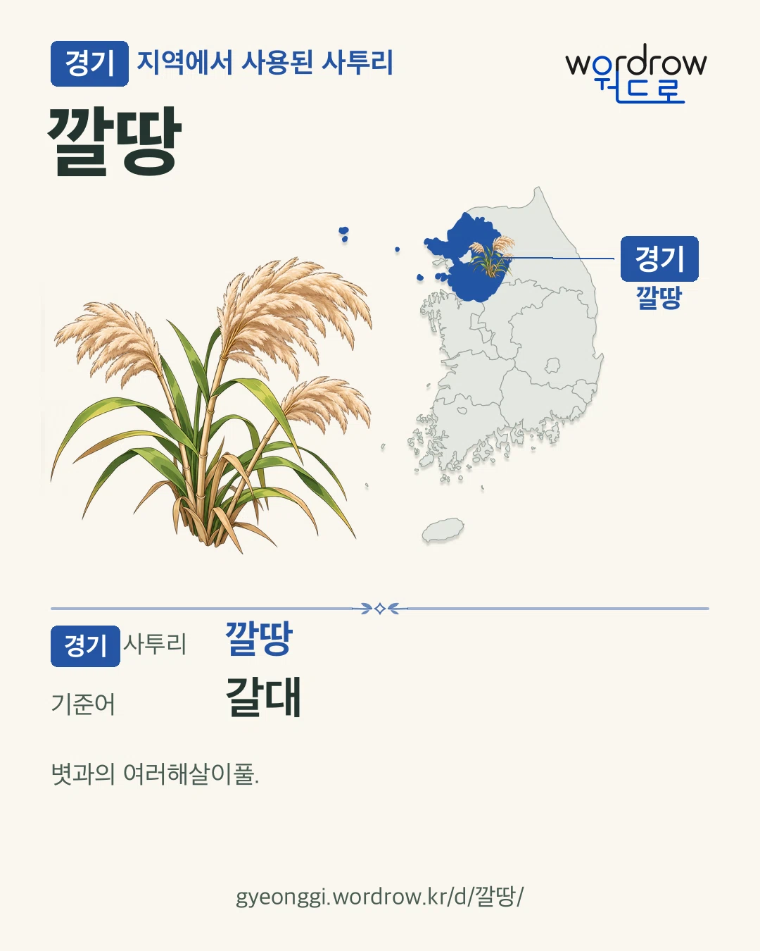 경기 지역에서 사용된 사투리 ‘깔땅’. 기준어: 갈대. 기록 지역을 표시한 카툰 삽화와 지도 카드.