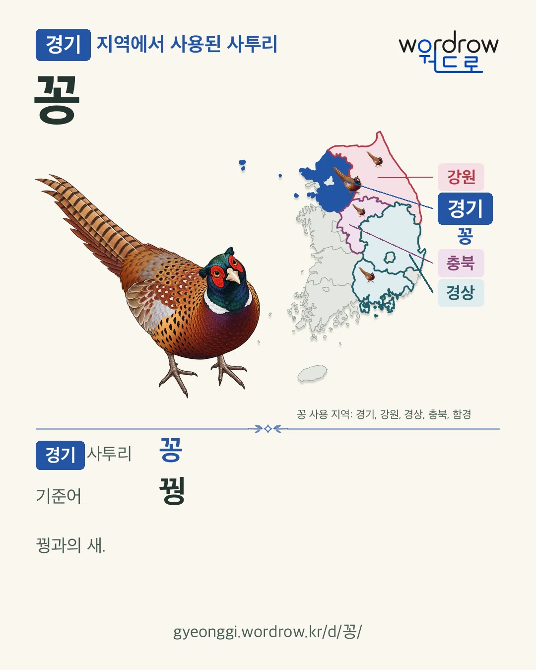 경기 지역에서 사용된 사투리 ‘꽁’. 기준어: 꿩. 기록 지역을 표시한 카툰 삽화와 지도 카드.