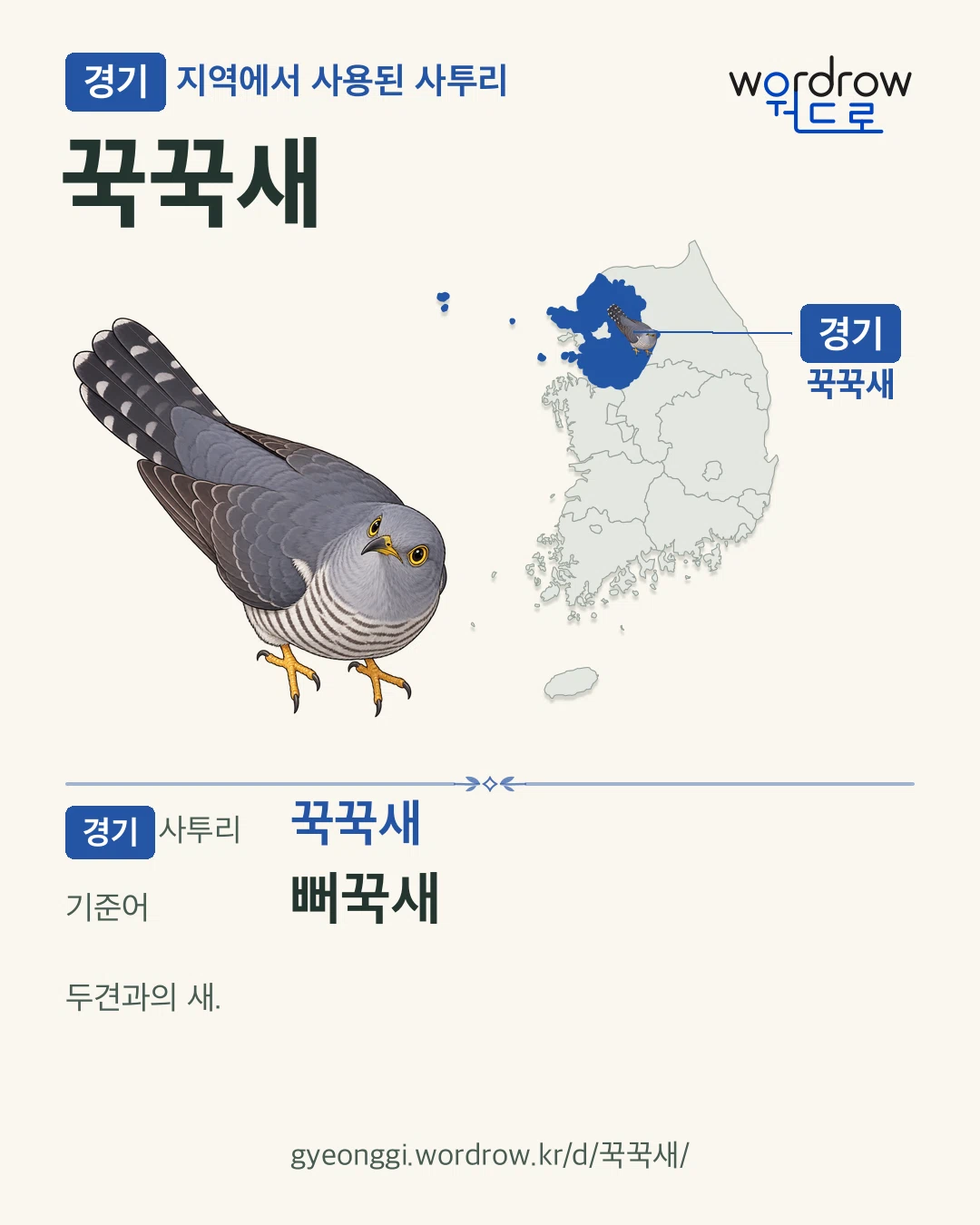경기 지역에서 사용된 사투리 ‘꾹꾹새’. 기준어: 뻐꾹새. 기록 지역을 표시한 카툰 삽화와 지도 카드.