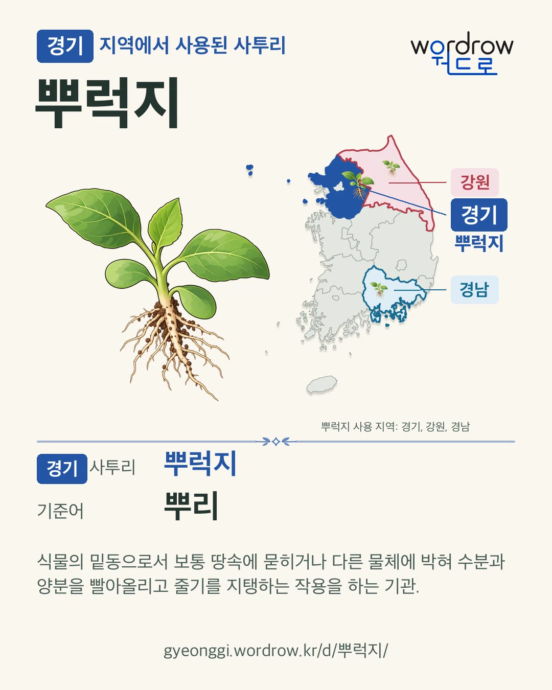 경기 지역에서 사용된 사투리 ‘뿌럭지’. 기준어: 뿌리. 기록 지역을 표시한 카툰 삽화와 지도 카드.