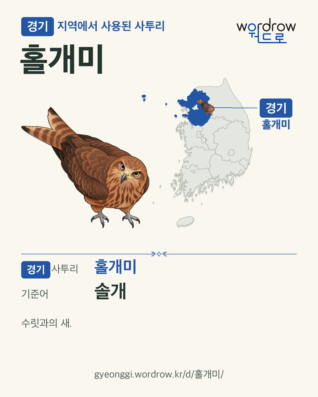 경기 지역에서 사용된 사투리 ‘홀개미’. 기준어: 솔개. 기록 지역을 표시한 카툰 삽화와 지도 카드.