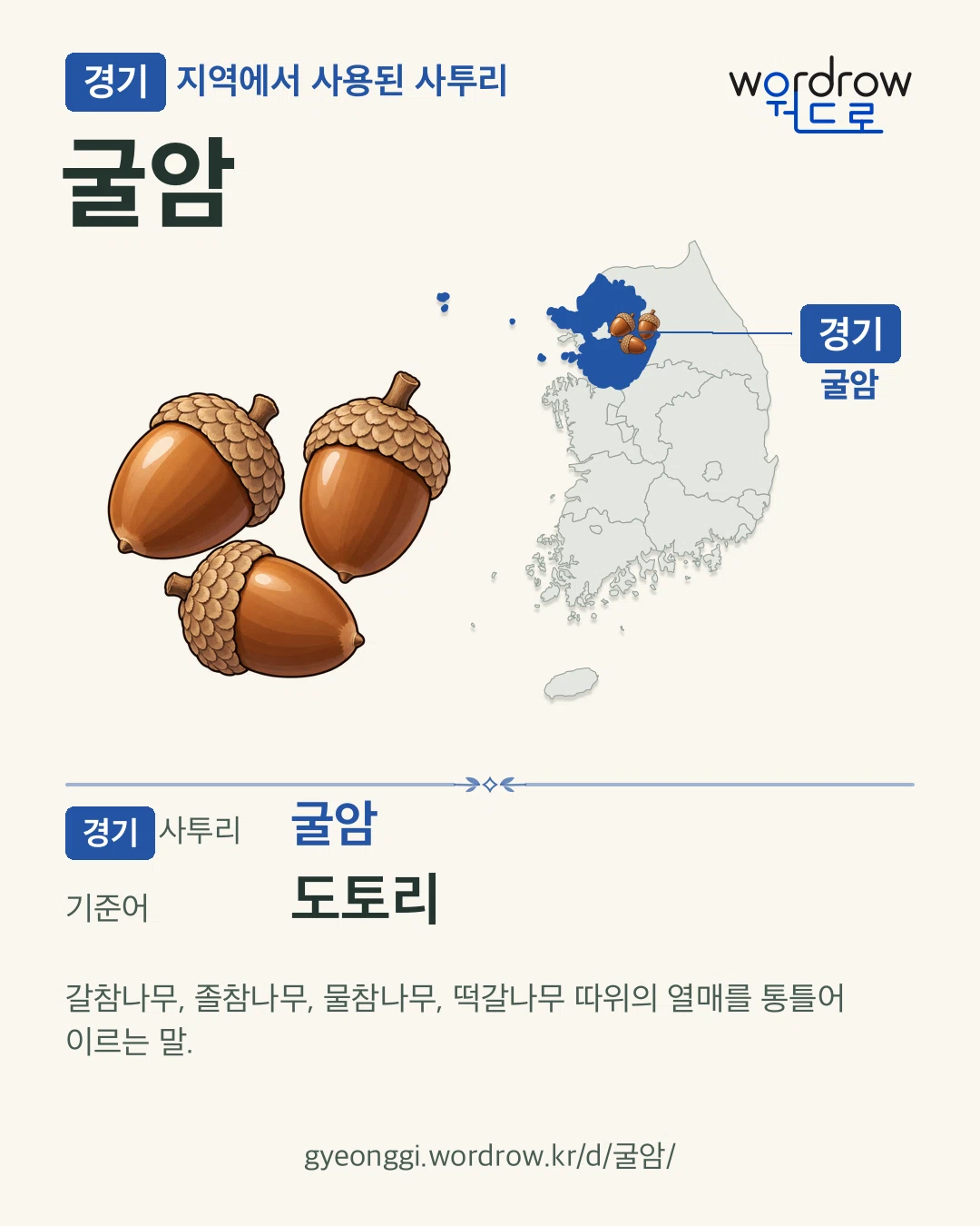 경기 지역에서 사용된 사투리 ‘굴암’. 기준어: 도토리. 기록 지역을 표시한 카툰 삽화와 지도 카드.