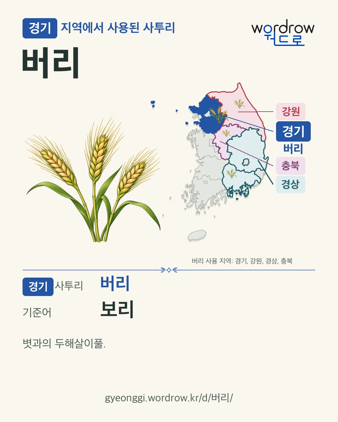 경기 지역에서 사용된 사투리 ‘버리’. 기준어: 보리. 기록 지역을 표시한 카툰 삽화와 지도 카드.