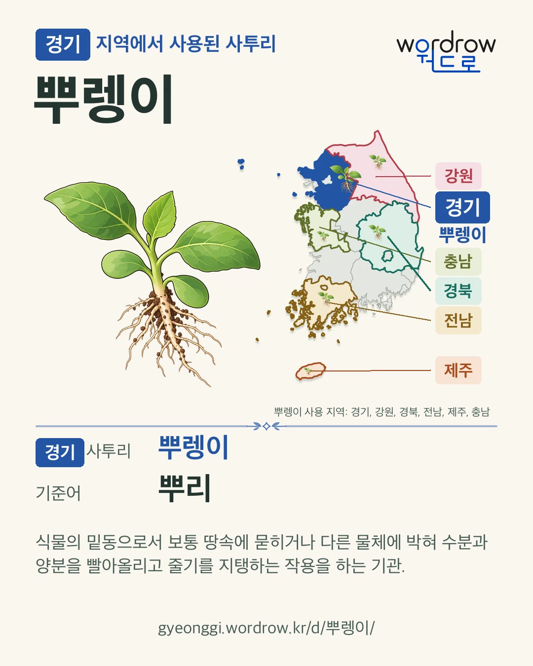 경기 지역에서 사용된 사투리 ‘뿌렝이’. 기준어: 뿌리. 기록 지역을 표시한 카툰 삽화와 지도 카드.