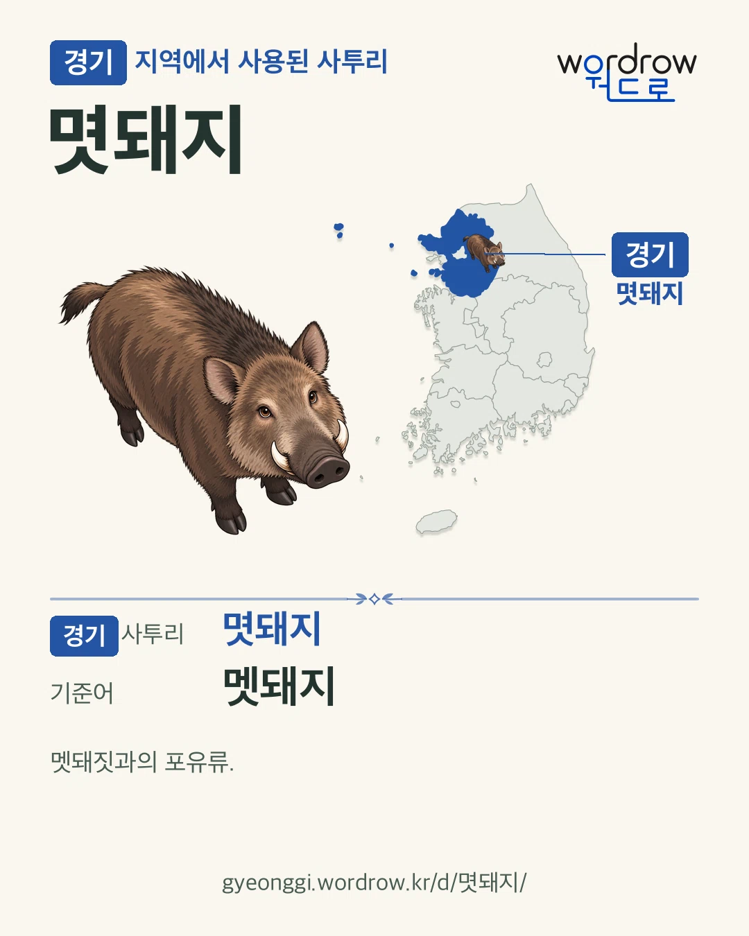 경기 지역에서 사용된 사투리 ‘몃돼지’. 기준어: 멧돼지. 기록 지역을 표시한 카툰 삽화와 지도 카드.
