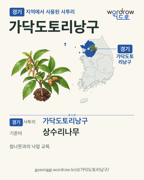 경기 지역에서 사용된 사투리 ‘가닥도토리낭구’. 기준어: 상수리나무. 기록 지역을 표시한 카툰 삽화와 지도 카드.