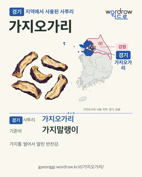 경기 지역에서 사용된 사투리 ‘가지오가리’. 기준어: 가지말랭이. 기록 지역을 표시한 카툰 삽화와 지도 카드.