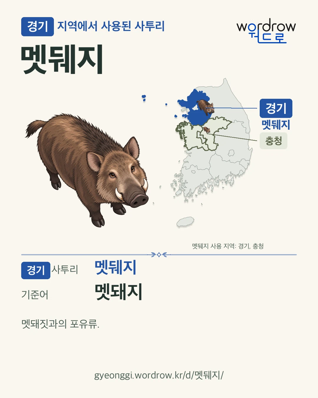 경기 지역에서 사용된 사투리 ‘멧뒈지’. 기준어: 멧돼지. 기록 지역을 표시한 카툰 삽화와 지도 카드.