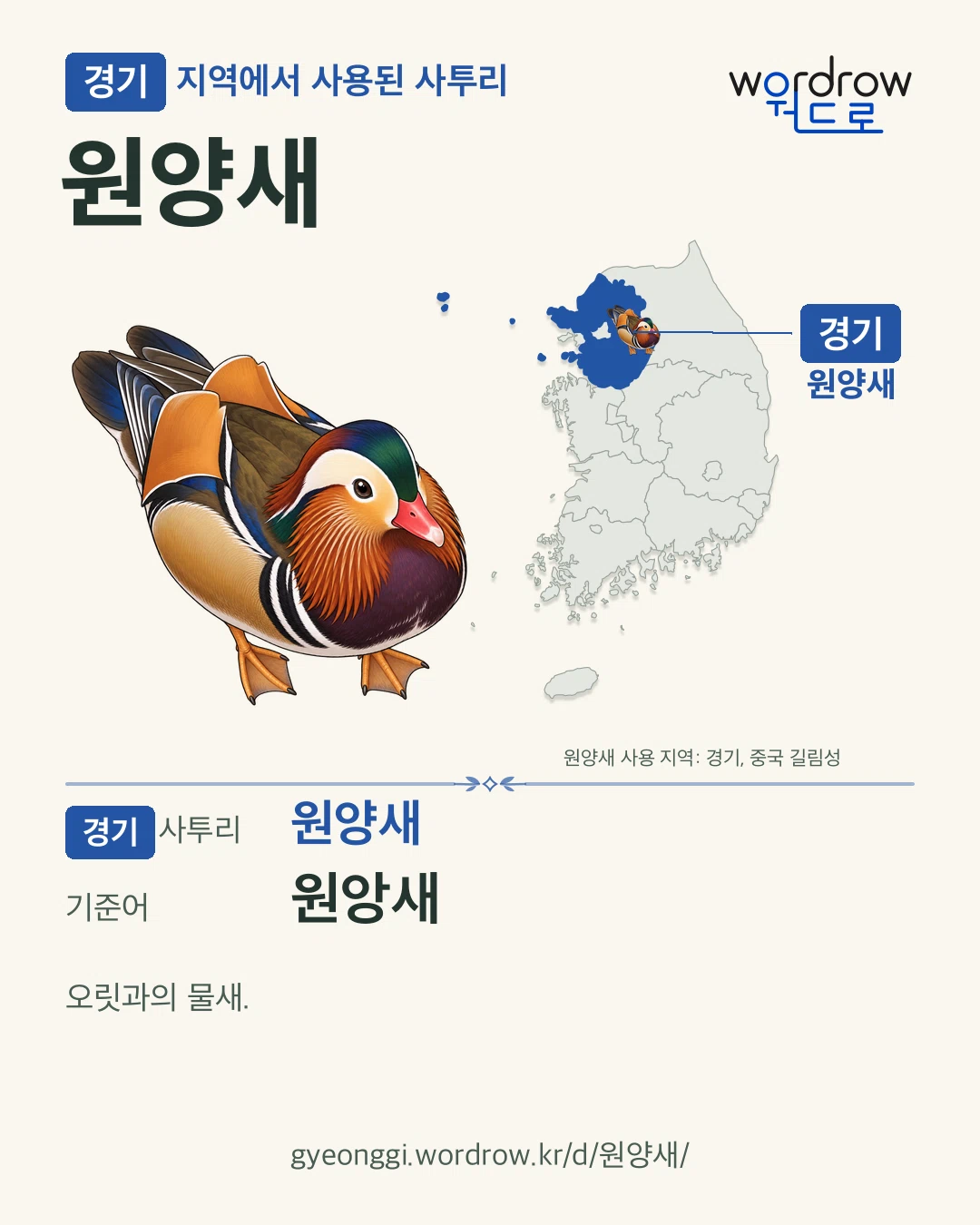 경기 지역에서 사용된 사투리 ‘원양새’. 기준어: 원앙새. 기록 지역을 표시한 카툰 삽화와 지도 카드.