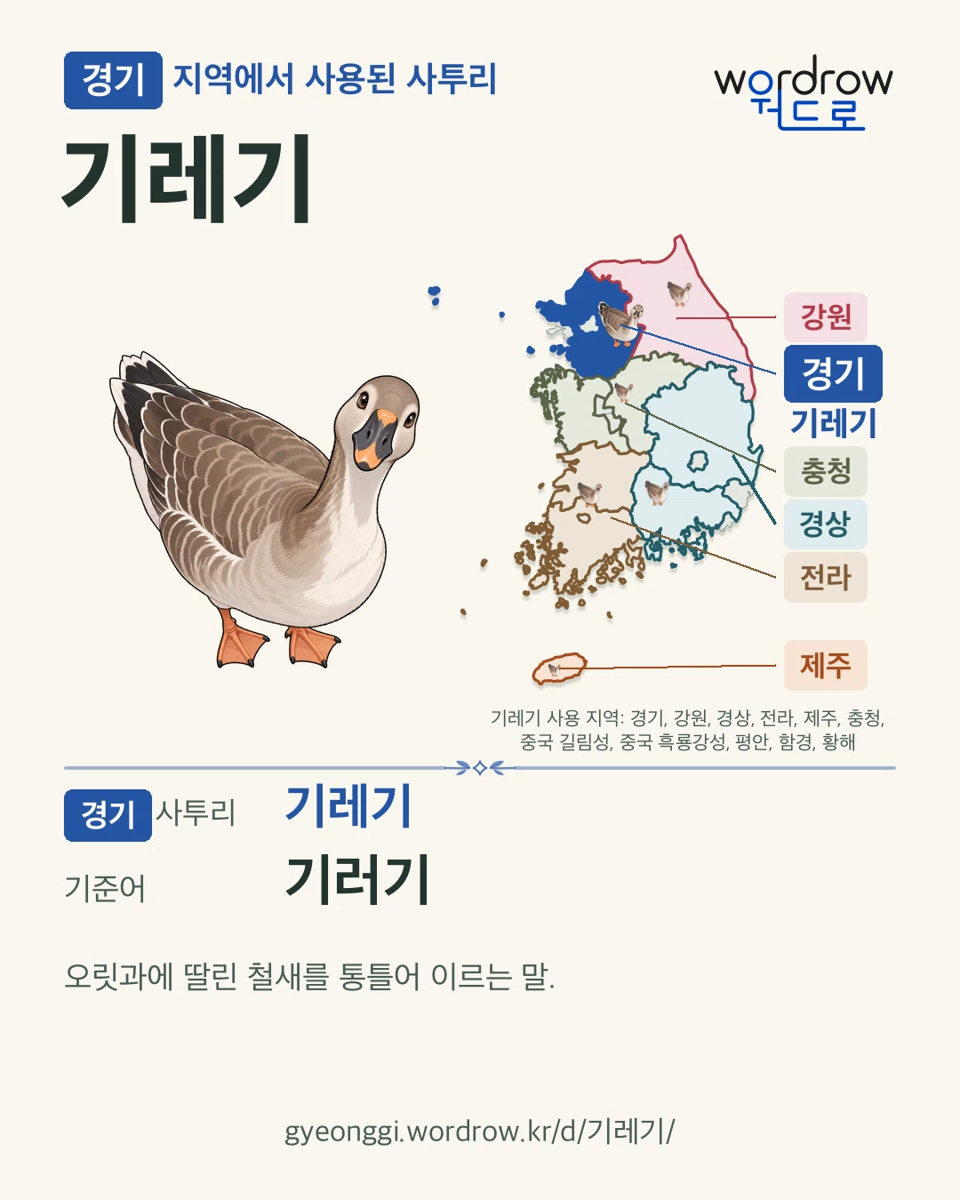 경기 지역에서 사용된 사투리 ‘기레기’. 기준어: 기러기. 기록 지역을 표시한 카툰 삽화와 지도 카드.