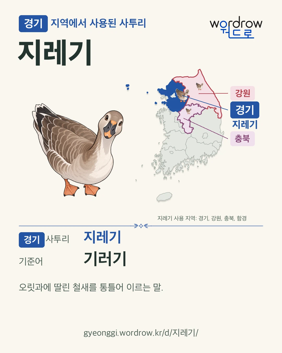 경기 지역에서 사용된 사투리 ‘지레기’. 기준어: 기러기. 기록 지역을 표시한 카툰 삽화와 지도 카드.