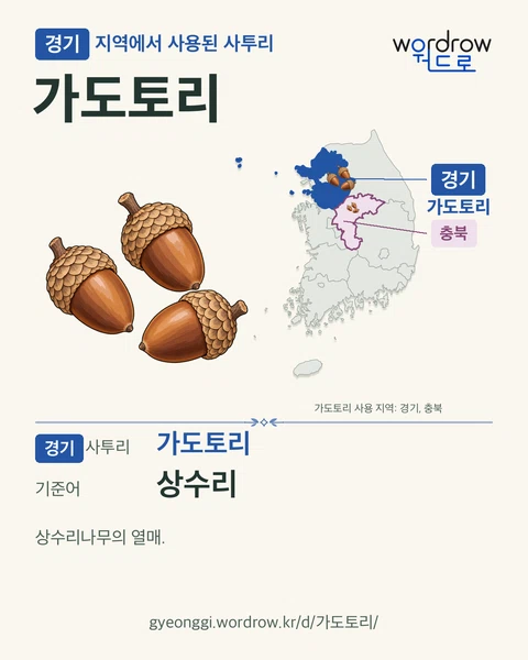 경기 지역에서 사용된 사투리 ‘가도토리’. 기준어: 상수리. 기록 지역을 표시한 카툰 삽화와 지도 카드.