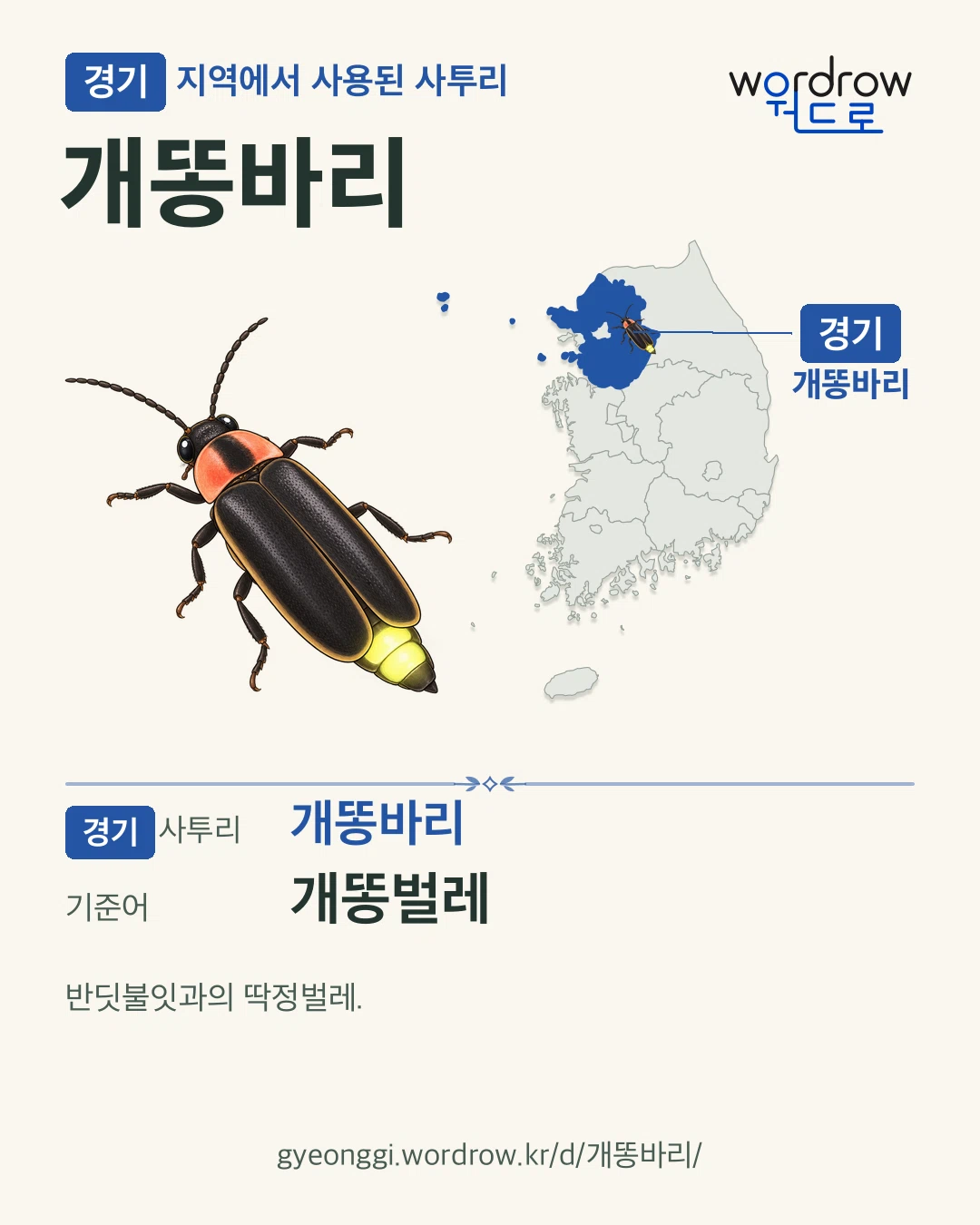 경기 지역에서 사용된 사투리 ‘개똥바리’. 기준어: 개똥벌레. 기록 지역을 표시한 카툰 삽화와 지도 카드.
