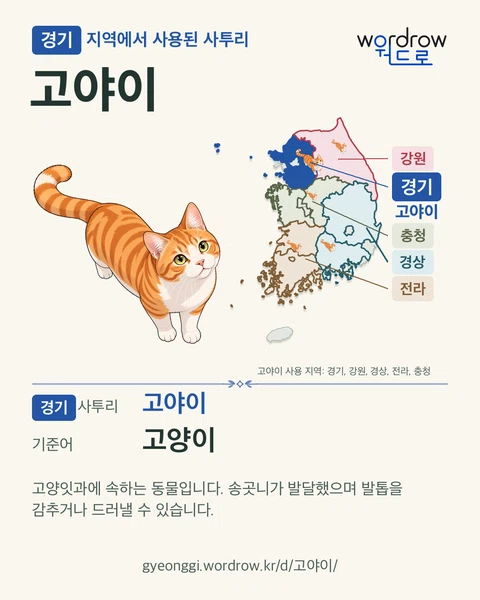 경기 지역에서 사용된 사투리 ‘고야이’. 기준어: 고양이. 기록 지역을 표시한 카툰 삽화와 지도 카드.